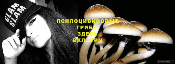 спайс Зерноград