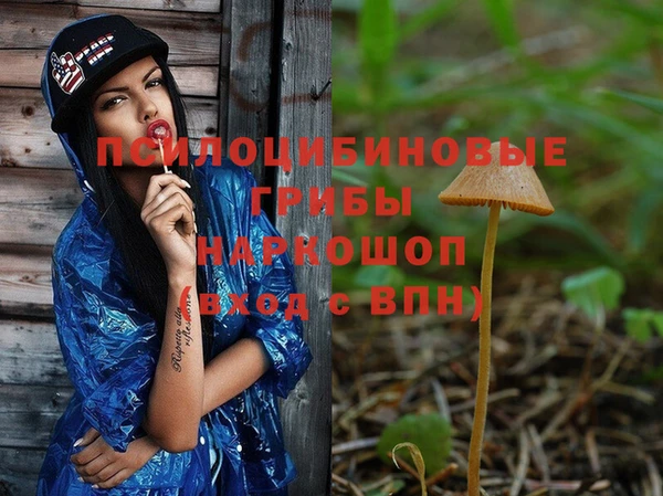 a pvp Зеленокумск