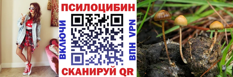Купить где  Заозёрный  Псилоцибиновые грибы прущие грибы 